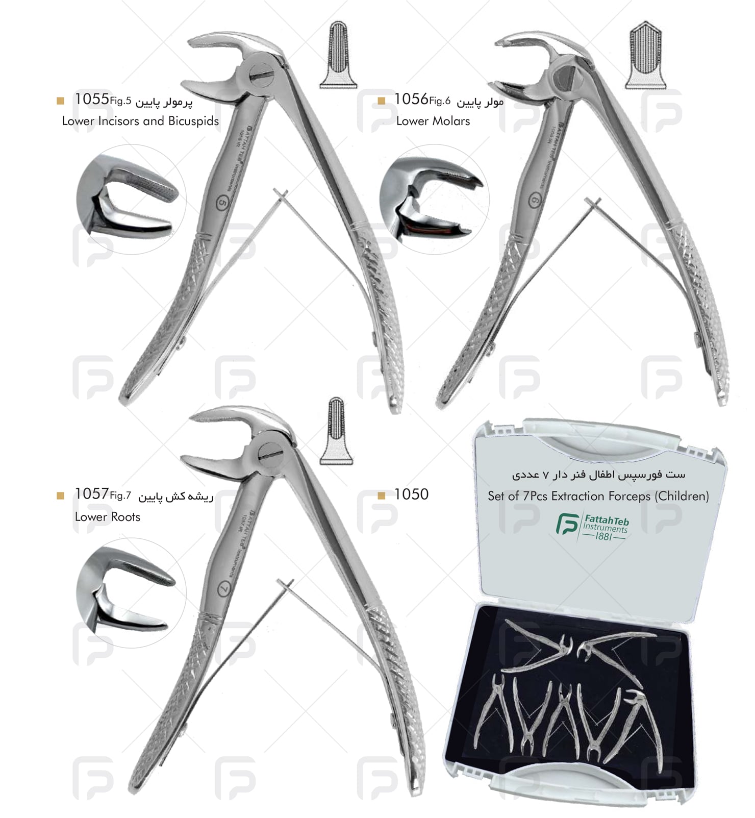 forceps